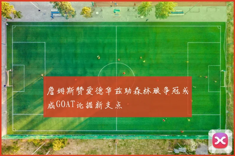 詹姆斯赞爱德华兹助森林狼争冠或成GOAT论据新支点