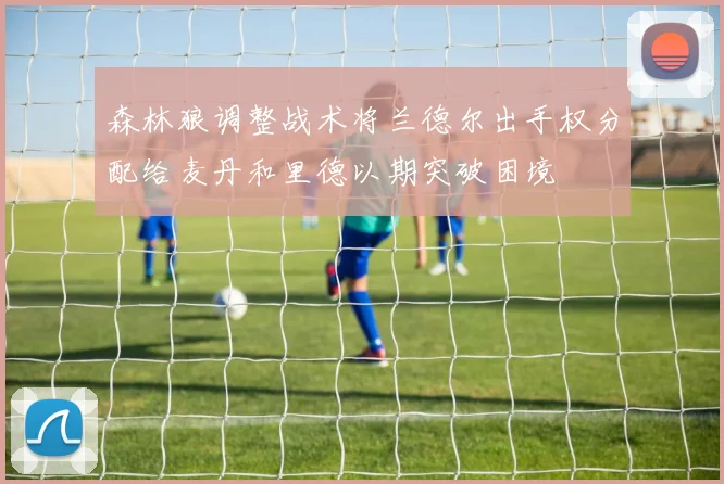 森林狼调整战术将兰德尔出手权分配给麦丹和里德以期突破困境