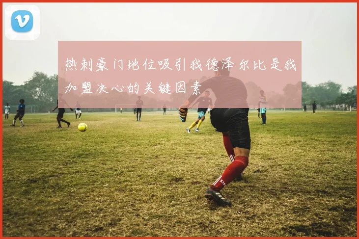 热刺豪门地位吸引我德泽尔比是我加盟决心的关键因素